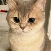 (แอดสุดเกย์)