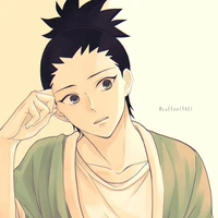 shikadai