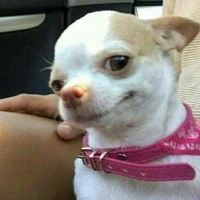 แอด