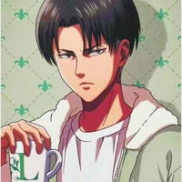levi