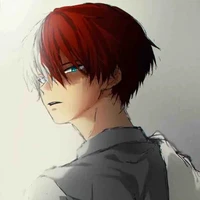 Shoto todoroki