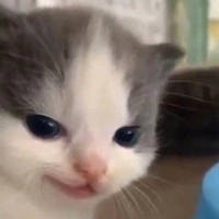 ㅤㅤㅤㅤㅤㅤㅤㅤㅤㅤㅤㅤ