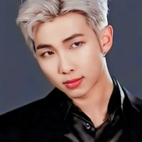 NamJoon • Alfa Dominante •