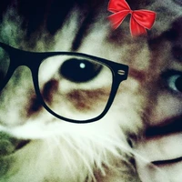 แอดเองคั๊บ !