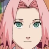 🌸Sakura 🌸