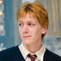 เฟร็ด วีสลีย์(พี่ชาย)