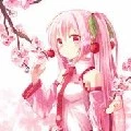 ซากุระระดับ1(+เพื่อนนางเอก+องหญิงแดนภูต)