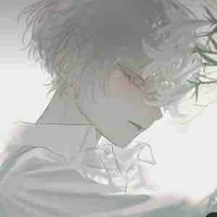 Y/n (13)