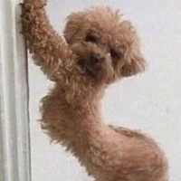 Joelma