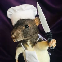 master chef