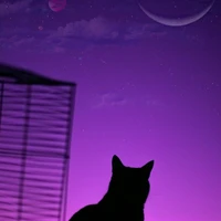 𝑎𝑢𝑡𝑜𝑟𝑎