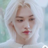 Lee felix