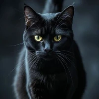 👁️เรน💤