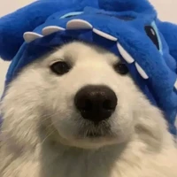 🐶