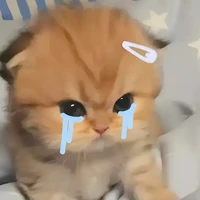 แอดดดดดดด