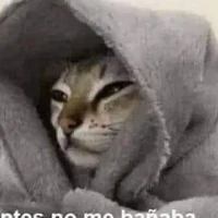 creadora (yo)