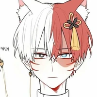 Shoto Todoroki