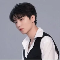 Wang junyi