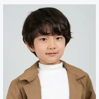 Wang xingfeng (putra junyi)