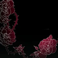 ◇