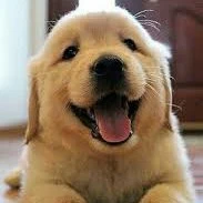 นิโคล💕✨