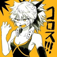 katsumi midoriya