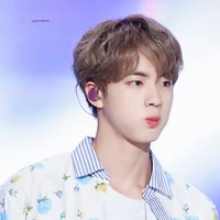 Seokjin (O.P)