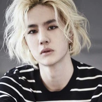 Yibo