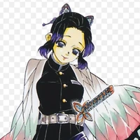 °Shinobu Kocho°