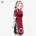 sakura