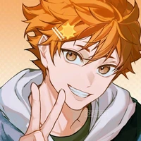 °•Hinata Shoyo/15/O.P•°
