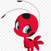 Tikki
