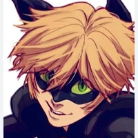 Cat Noir