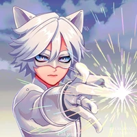 Cat blank