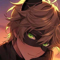 Cat Noir