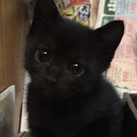 miki