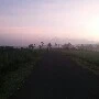 yg pasti orang