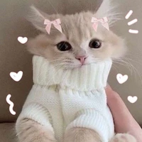 meow (meow)