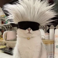meow meow (meow)