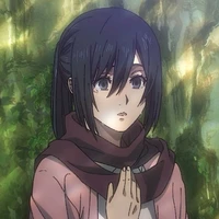 Mikasa