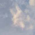 ?????