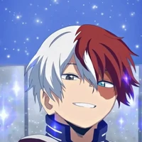 shoto Todoroki