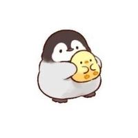 ไรท์