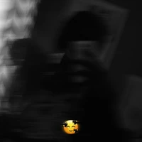 YMA_____L