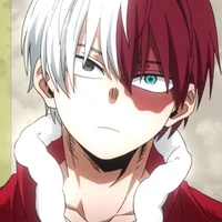 shoto todoroki