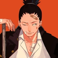 °Shikamaru nara°