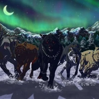 Lobos + Manadas 