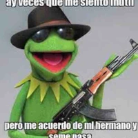 Kermit jaker