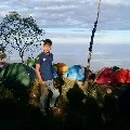 Arta