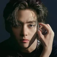 kim taehyung •V